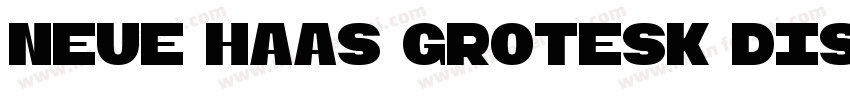 neue haas grotesk display pro 45 Li字体转换
